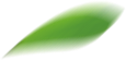 apl
